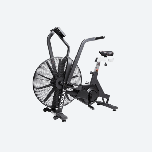 Echo Bike ROGUE